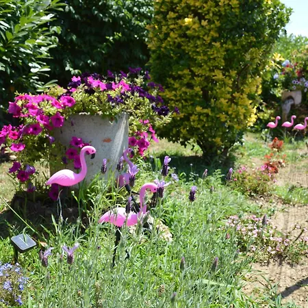 Casa vacanze Albetta *