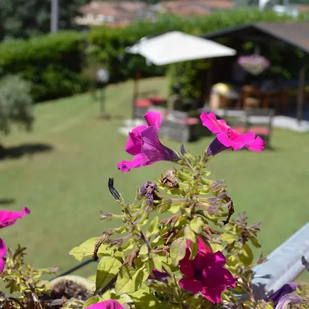 Albetta Casa vacanze *